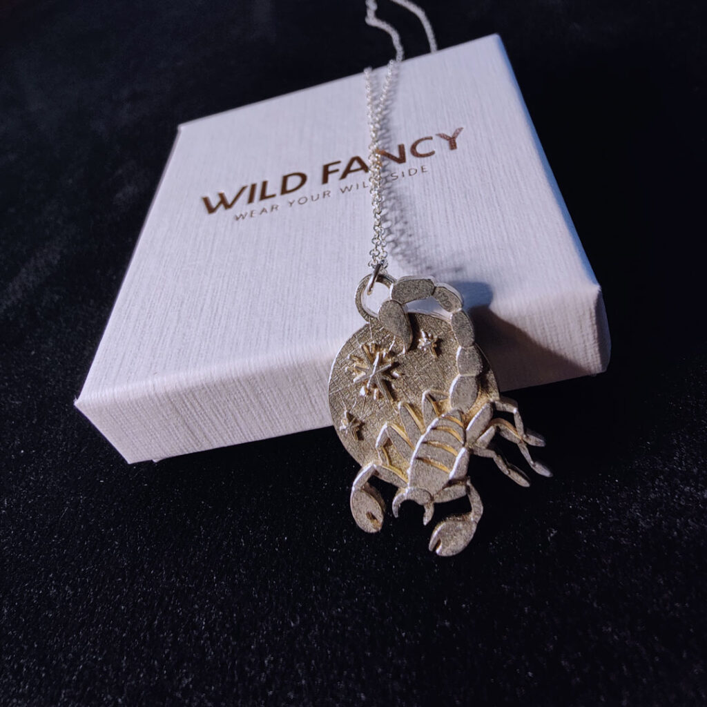 scorpio zodiac a necklace on a chain